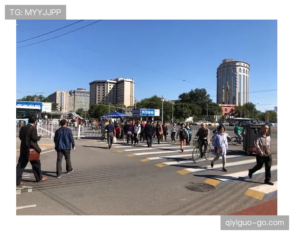 张楠家的冰箱里塞满了能量胶，连饮料都按训练表排班