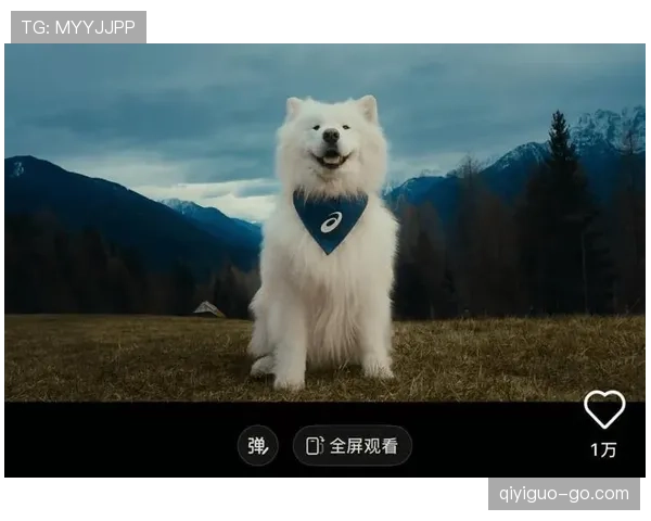 王燊超家的狗都比你自律