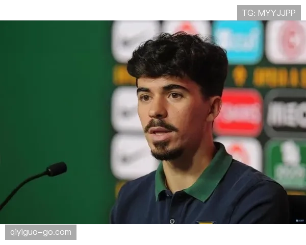 维蒂尼亚能否承担核心角色及制约因素分析