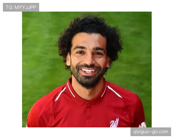 萨拉赫内切依赖与战术多样性分析