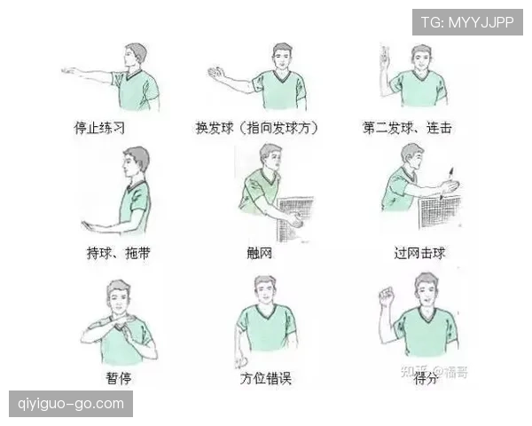 裁判手势规则解析：每个动作代表什么意思？